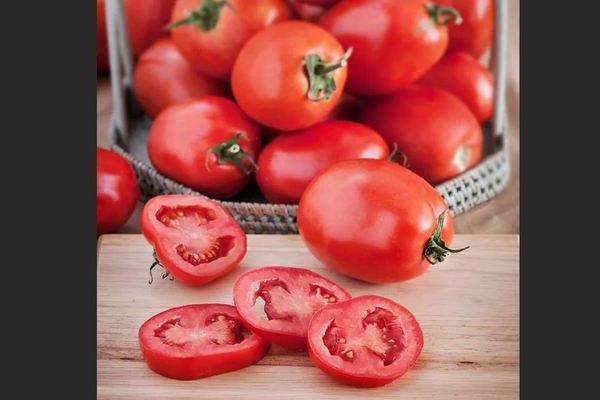 Newbie Tomate: eine Beschreibung der Vor- und Nachteile der Sorte