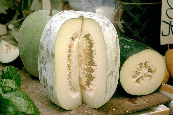 Wax gourd: halaga ng nutrisyon ng produkto