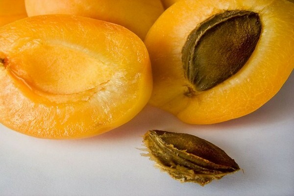 apricot shalah