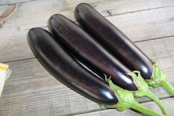 Aubergine Valentin