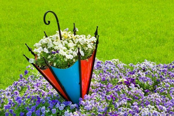 flowerbed photo design