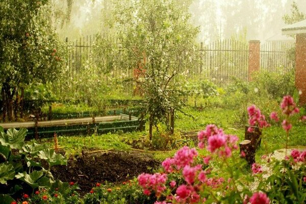 Rain flower beds