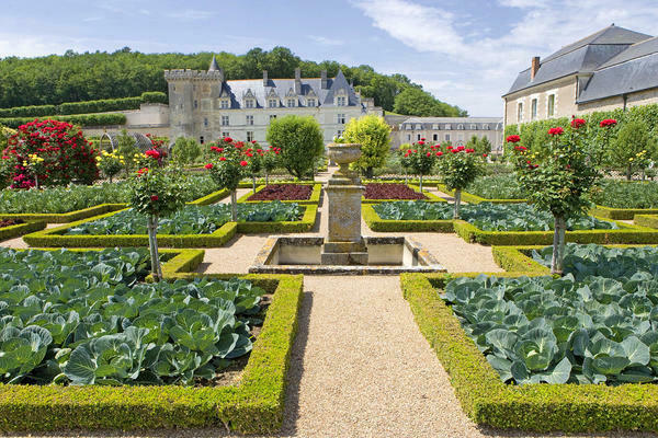 photo de jardin à la française