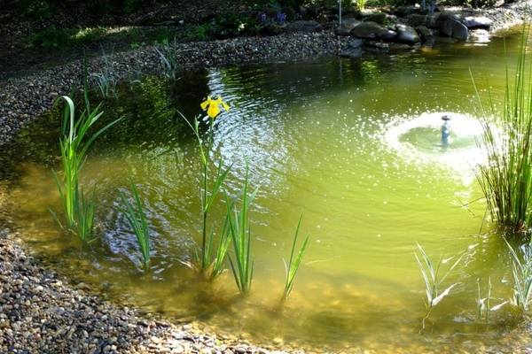 pond sa dacha