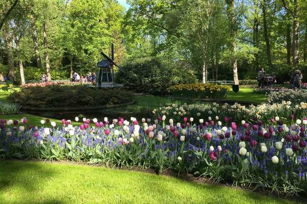 Dutch garden photo