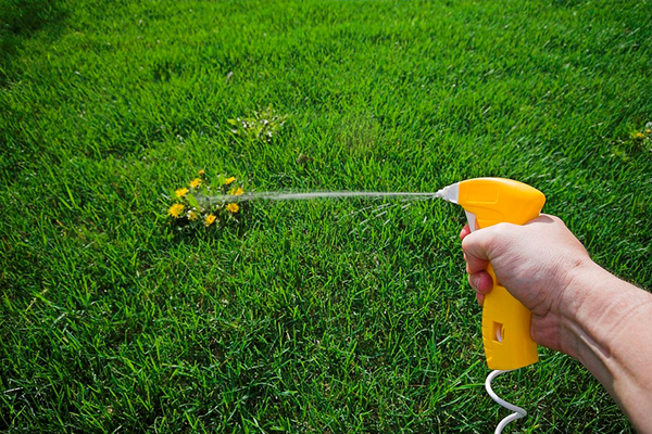 Herbicide Ground para sa mga damo