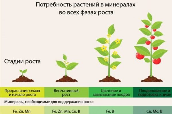 chelated fertilizers