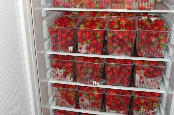 Erdbeeren aufbewahren + im Kühlschrank