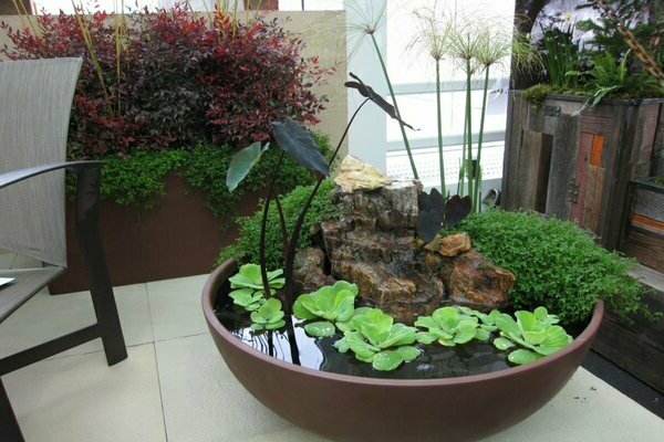 how to make a decorative pond in the country