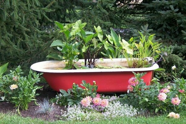 make a pond with your own hands in the country