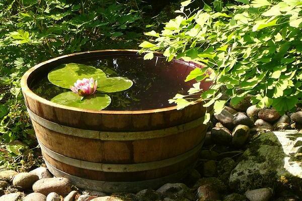 make a pond in the country with your own hands step by step