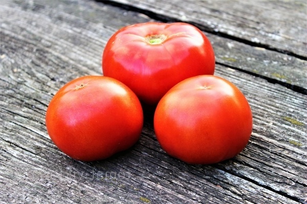 Beschreibung: frühreifende Tomatensorten. TOP-10 Sorten