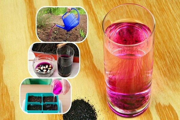 potassium permanganate treatment