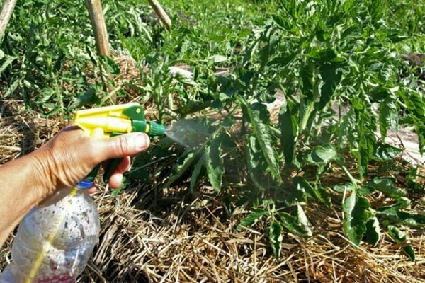 potassium permanganate in the garden