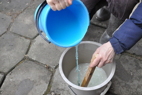 processing tomato with copper sulfate