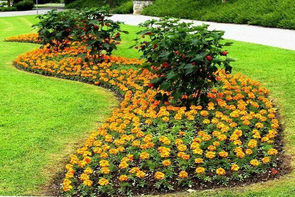 mga uri ng mga tanawin ng bulaklak na tanawin