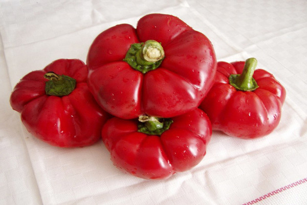 Larawan ng Pepper Gogoshary, paglalarawan ng mga subspecies