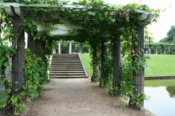 pergola + do it yourself