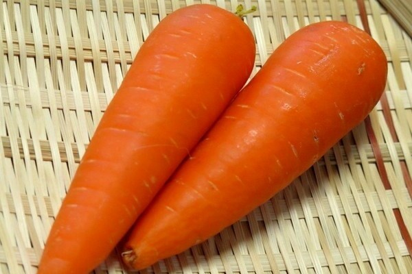 The best varieties of early carrots