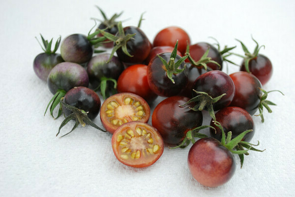 mga katangian ng cherry na kamatis at paglalarawan ng pagkakaiba-iba