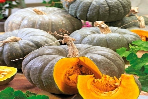 pumpkin varieties