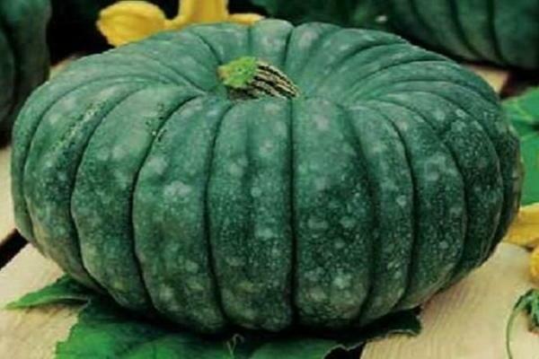 pumpkin varieties