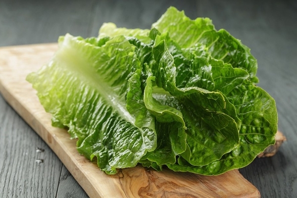 Romaine lettuce