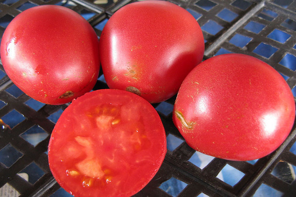 tomato truffle