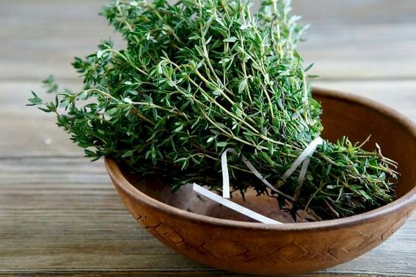 Thyme