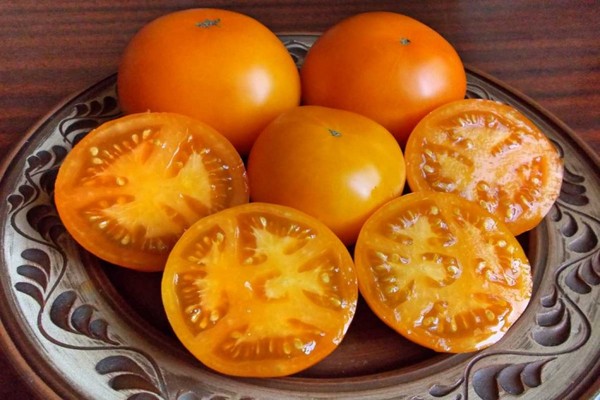 Persimmon variety ng kamatis