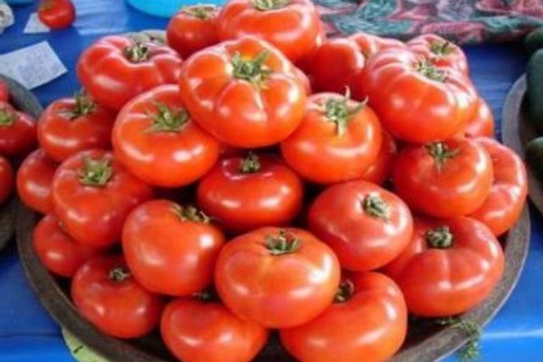 Tomate Rotkäppchen Foto