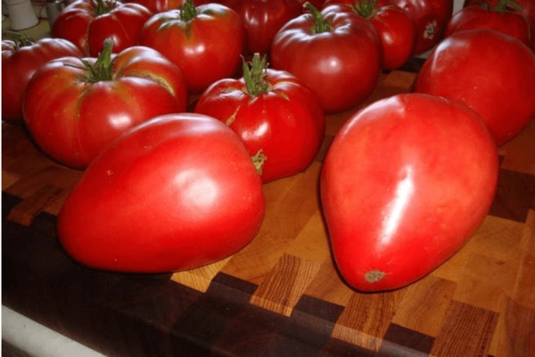 Tomaten-Mazarin: Foto