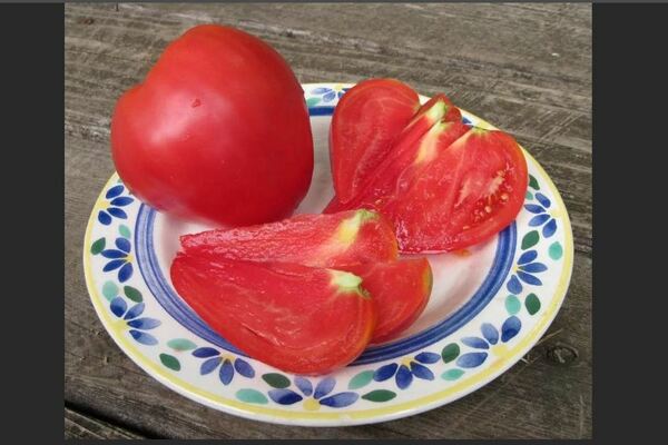 Grandee Tomaten Beschreibung