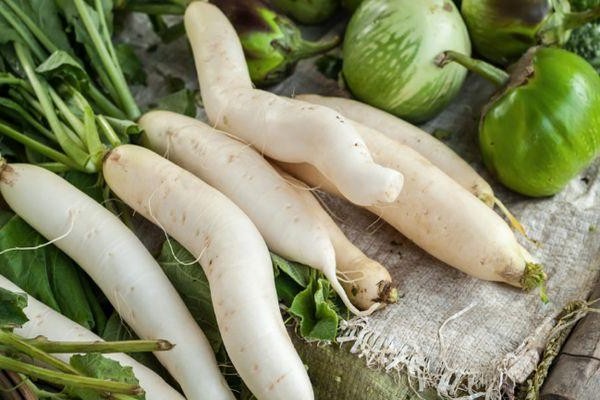 white radish recipes