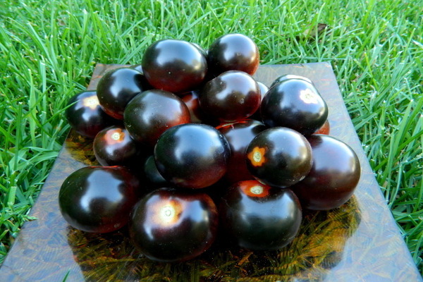 verschiedene schwarze Tomaten