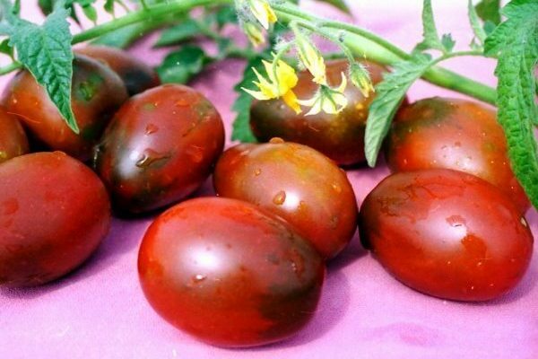 de barao tomatoes