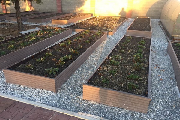 dpk + board for garden beds