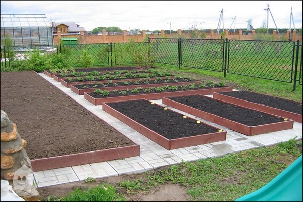 plastic fences + for garden beds