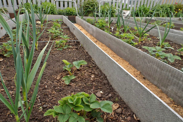 slate beds