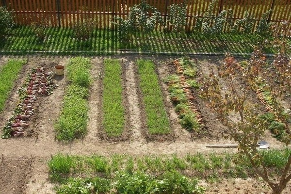 beds along the Meathlider