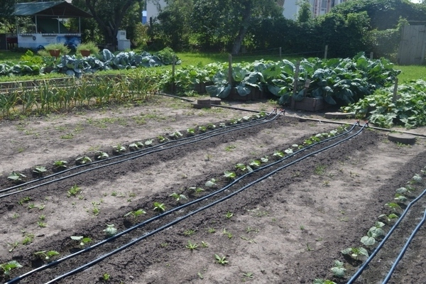 beds along the Meathlider