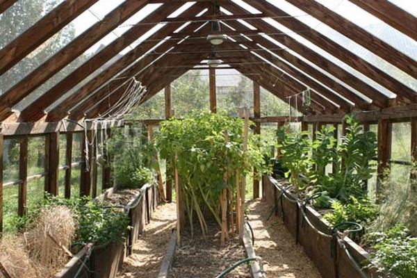 greenhouse in english