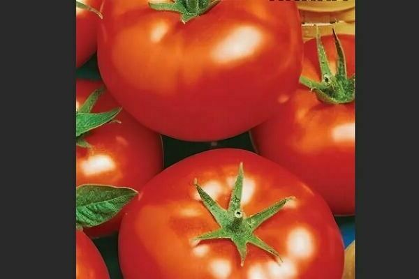 Chinese tomato varieties