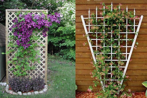 unterstützt + für Clematis + Foto zum Selbermachen