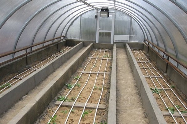 winter greenhouse + gawin mo ito sa iyong sarili