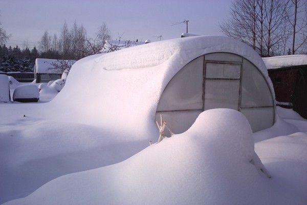 winter greenhouse + do it yourself