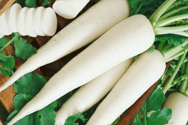 Daikon Rettich Nutzen und Schaden