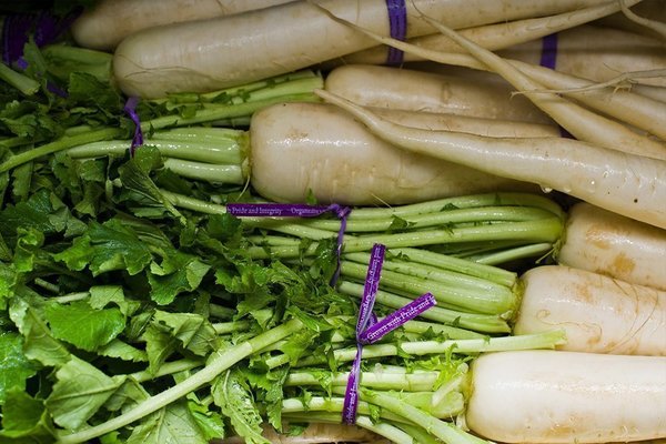 properties of daikon radish