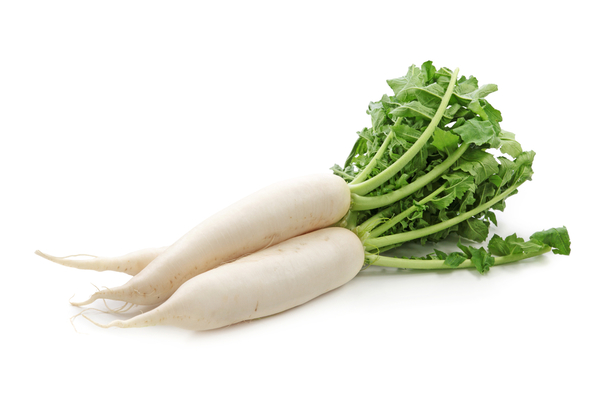 when to plant daikon radish