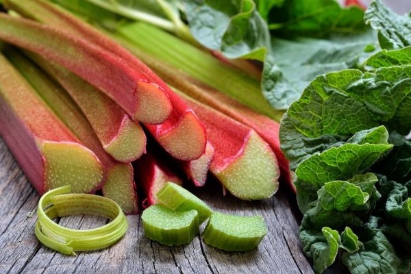 pagkakaiba-iba ng rhubarb